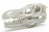 Carved Labradorite Dinosaur Skull #218490-4